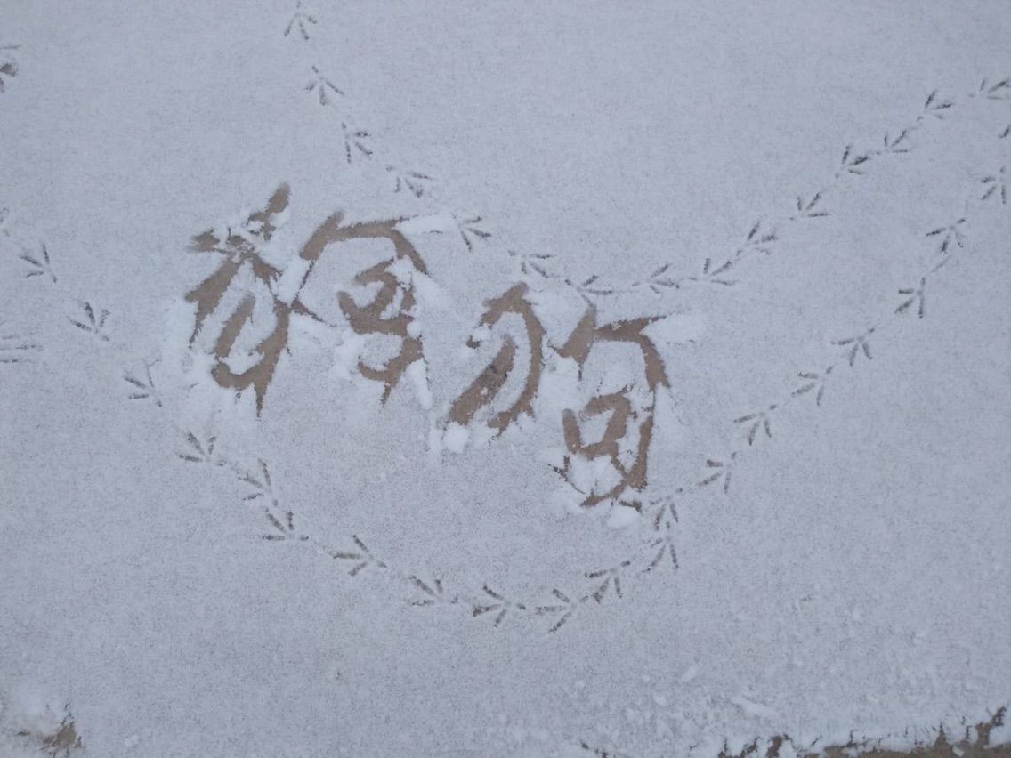 🐶平安喜乐的主播照片