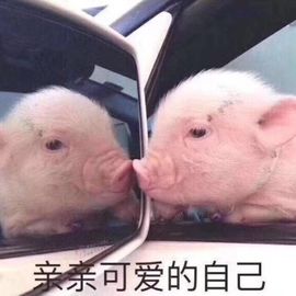白公子退下了愿君安好主播照片