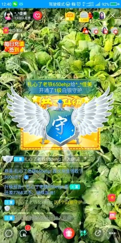 ^_^佳美的图片