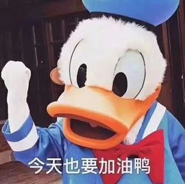 白公子退下了愿君安好主播照片