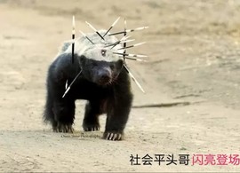 勇⑦气主播照片