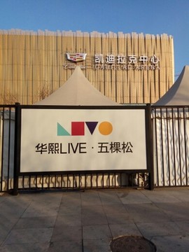京6郎狐主播照片