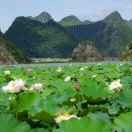 雾里看花rg1海报