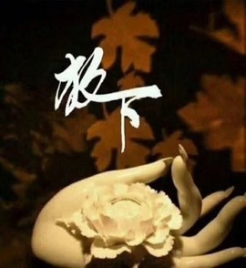 谈情？不说爱主播照片
