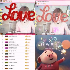 一只雁~主播照片
