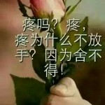 人生就是如此分分合合海报