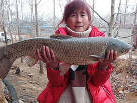 🐟长春c再回首主播照片