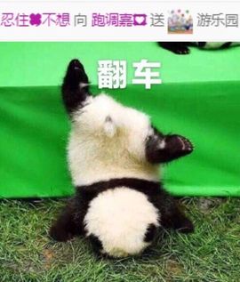 跑调嘉💟主播照片