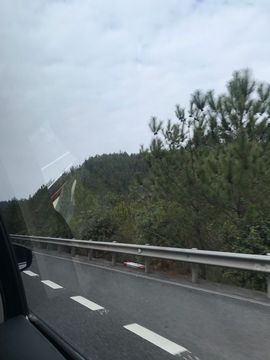 🌻ℱ七-安静唱歌主播照片