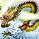 轻舞飞杨y
