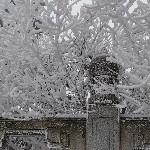 麻烦！请记住。海报