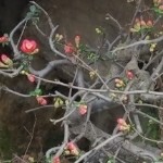昵称违规，不能登陆海报