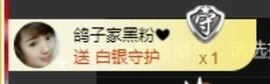 海鸽休息几天主播照片