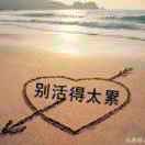 孤独的雪狼a8