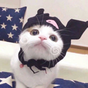 温柔昊哥海报