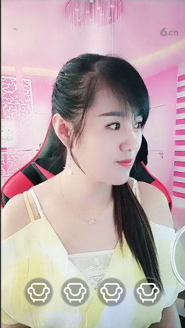 海鸽休息几天主播照片