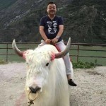 我不懂，別骗我