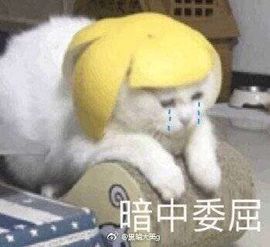 ☂静静等你主播照片