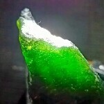 缅甸翡翠市场直播