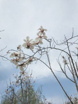 🔥忘川🔥主播照片