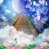 wjz小财神海报