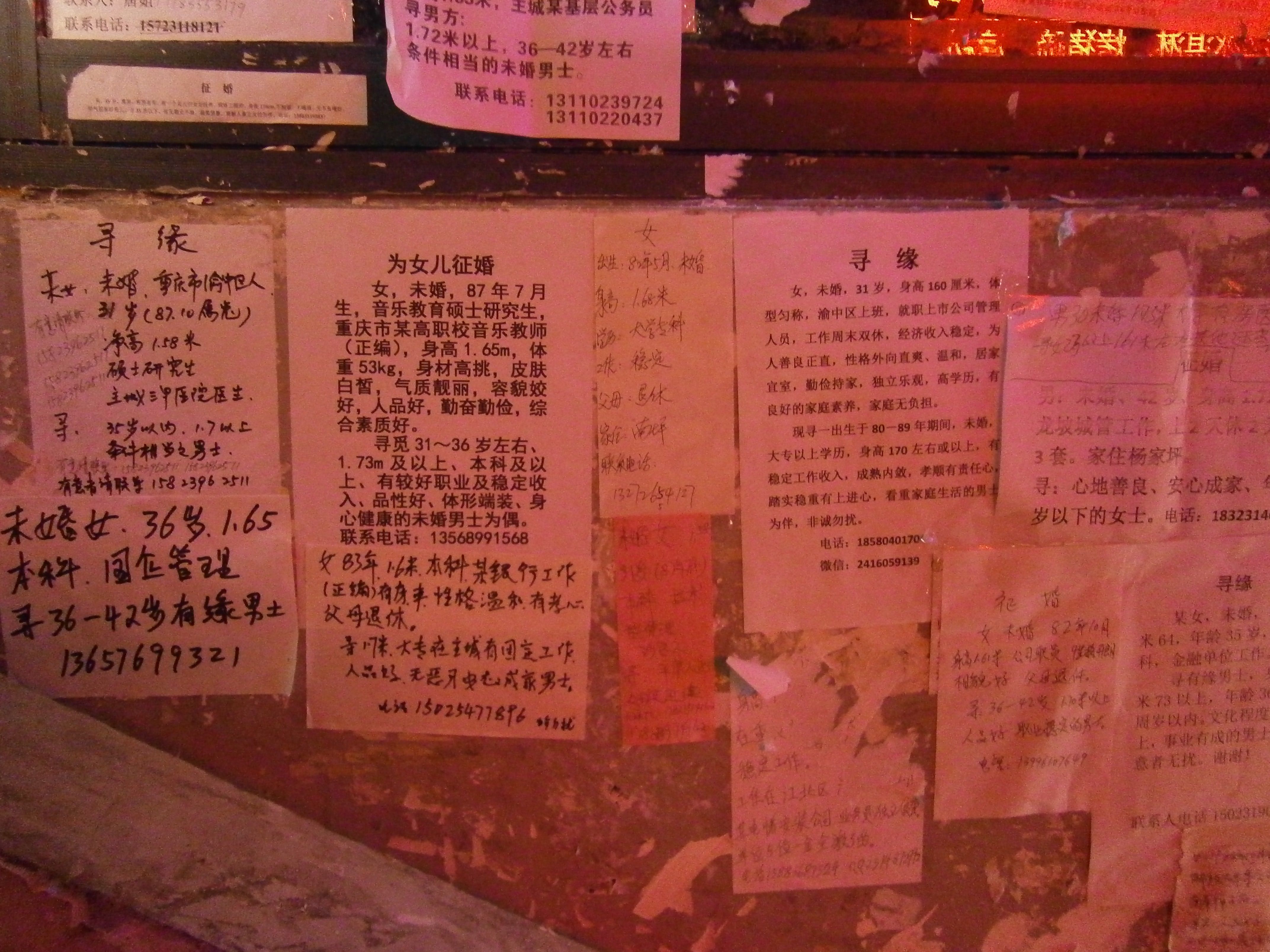 zky23248isw主播照片
