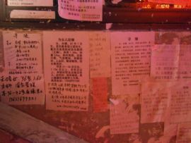 zky23248isw主播照片