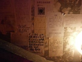 zky23248isw主播照片