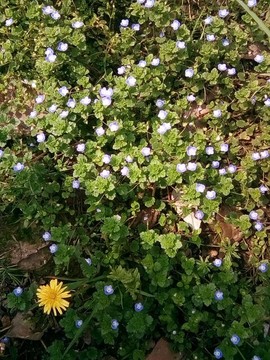 梦💞洁主播照片