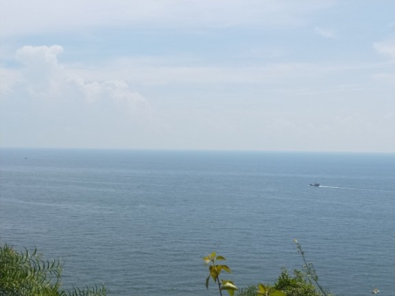 🐳爱琴海╬心弦的主播照片