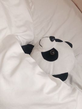 嬌嬌嬌~休息主播照片