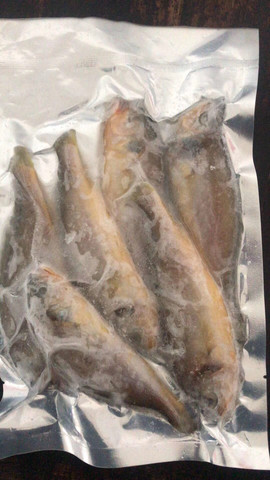 祁哥海鲜主播照片