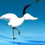 渔乐无限♥海报