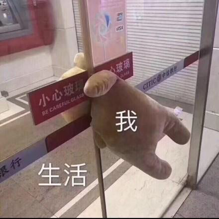 👑君蒽的主播照片