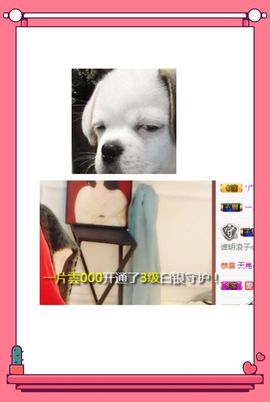鑫儿～主播照片