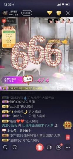 山郎♥主播照片