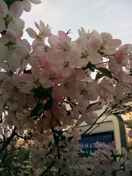 梦💞洁主播照片