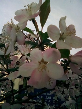 梦💞洁主播照片