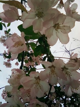 梦💞洁主播照片