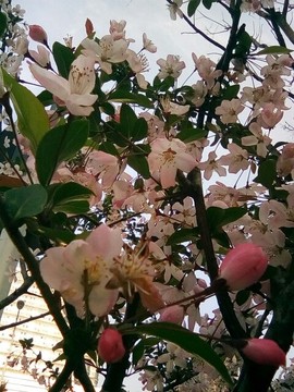 梦💞洁主播照片