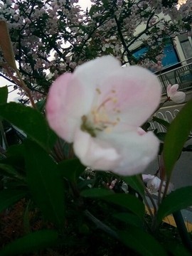 梦💞洁主播照片