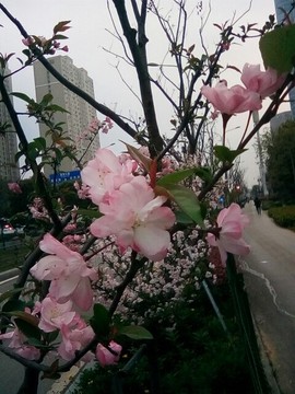 梦💞洁主播照片