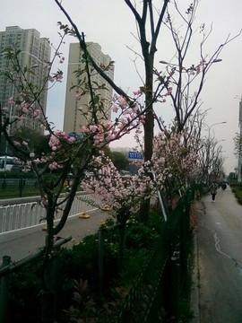 梦💞洁主播照片