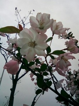 梦💞洁主播照片