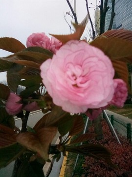 梦💞洁主播照片