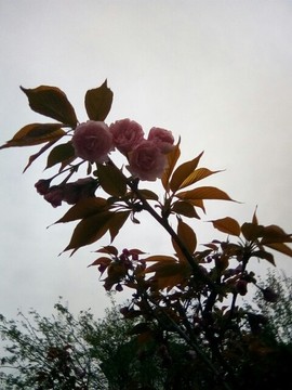 梦💞洁主播照片