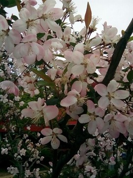 梦💞洁主播照片