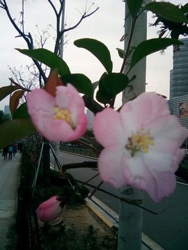 梦💞洁主播照片