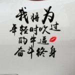 友谊之光e海报