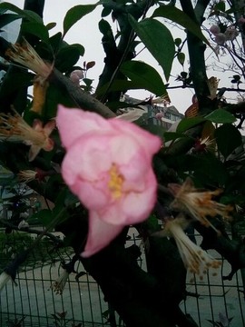 梦💞洁主播照片